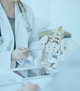 Hip Prosthesis