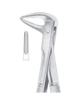 Fig. 143 Lower Roots