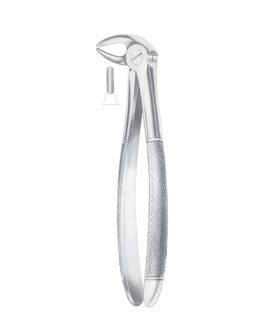 HERTZ (Fig. 211) Lower Incisors