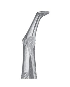 Fig. 46