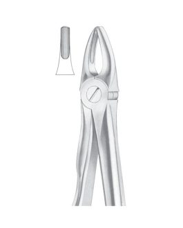 Fig. 2 Upper Laterals And Canines