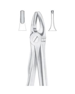 Fig. 3 Upper Incisors And Canines