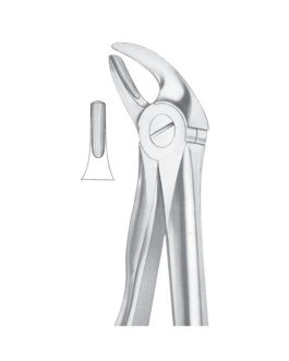 Fig. 17 Upper Molars Right