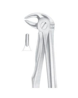 Fig. 13S Lower Premolars For Children