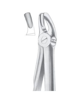 Fig. 18 Upper Molars Left
