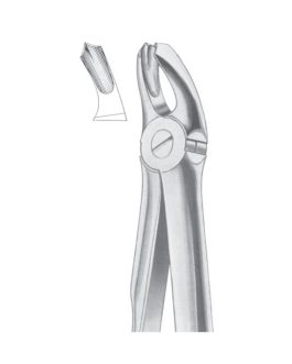 Fig. 18A Upper Molars