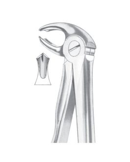 Fig. 22 Lower Molars