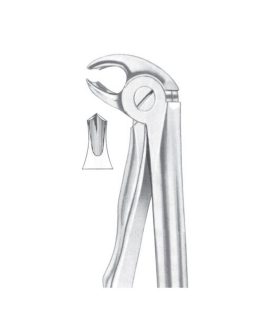 Fig. 22S Lower Molars For Children