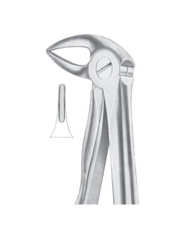 Fig. 33A Lower Roots