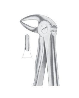 Fig. 33B Lower Roots