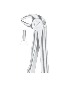 Fig. 33S Lower Roots For Children