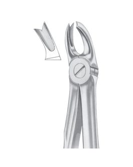 Fig. 65L Upper Molars Left