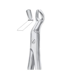 Fig. 67 Upper Third Molars