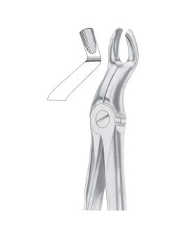 Fig. 67A Upper Third Molars