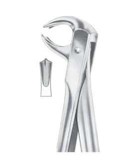 Fig. 73 Lower Molars