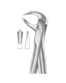 Fig. 99 Lower Molars