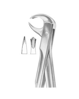 Fig. 99 1 4 Lower Molars