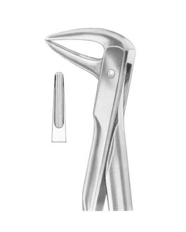 Fig. 143 Lower Roots