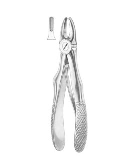 KLEIN (Fig. 217) Upper Incisors