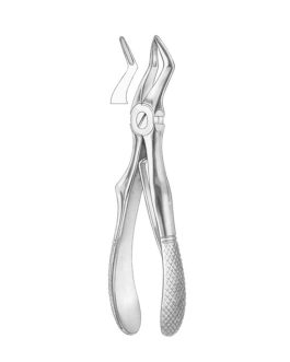 KLEIN (Fig. 219) Upper Roots