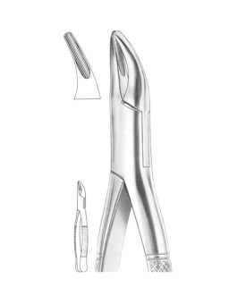 Fig. 2 Upper And Lower Roots