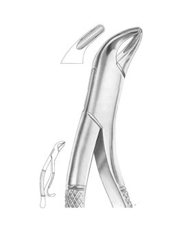 Fig. 14 Lower Incisors