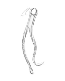 Fig. 16 Lower Molars