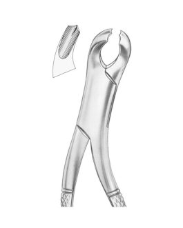 HARRIS Fig. 15 Lower Molars