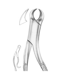 Fig. 16S Lower Molars For Children