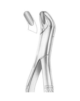HARRIS Fig. 18L Upper Molars Left