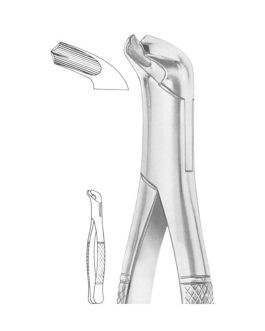 Fig. 17 Lower Molars