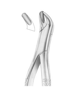 Fig. 20L Upper Molars Left