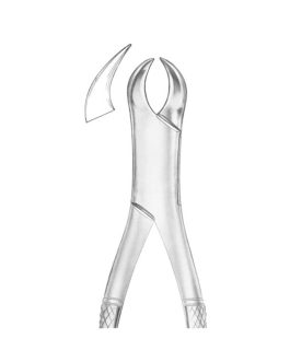Fig. 23 Lower Molars