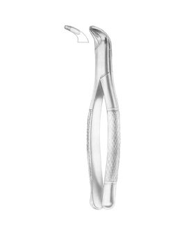 Fig. 29S Lower Teeth For Children