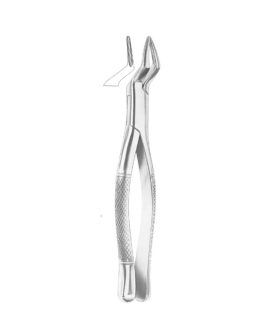 Fig. 65 Upper Incisors And Roots