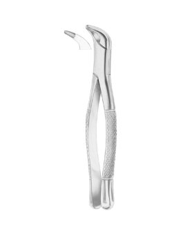 Fig. 203 Lower Incisors And Roots