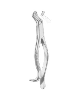 Fig. 210H Upper Third Molars