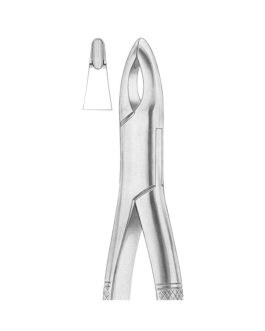 Fig. 213 Upper Centrals And Canines