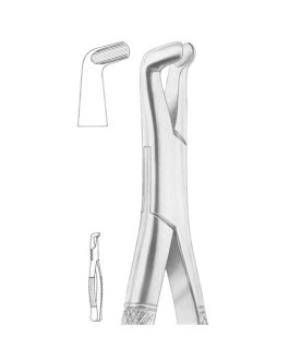 Fig. 222 Lower Third Molars