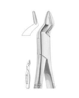 Fig. 286 Upper Incisors And Roots