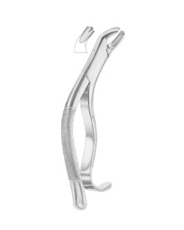 Fig. 286 Swing Lower Molars