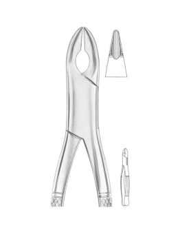 NEVIUS Fig. 320-10S Upper Canines