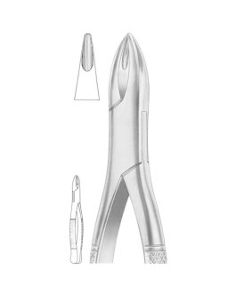 HENAHAN Fig. 315-1A Upper Incisors