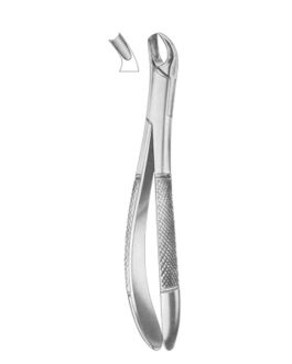 Fig. 345-90 Upper Molars Left