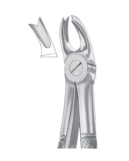 Fig. 65L Upper Molars Left