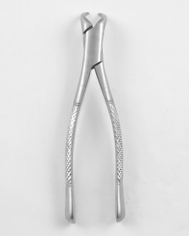 Extracting Forceps Universal Cow Horn No 23