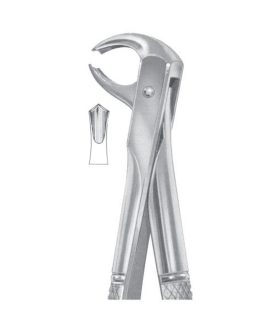 Fig. 73B Lower Molars For Children