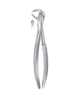 Fig. 73K Lower Molars For Children