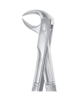 Fig. 86B Lower Molars