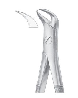 Fig. 87 Lower Molars